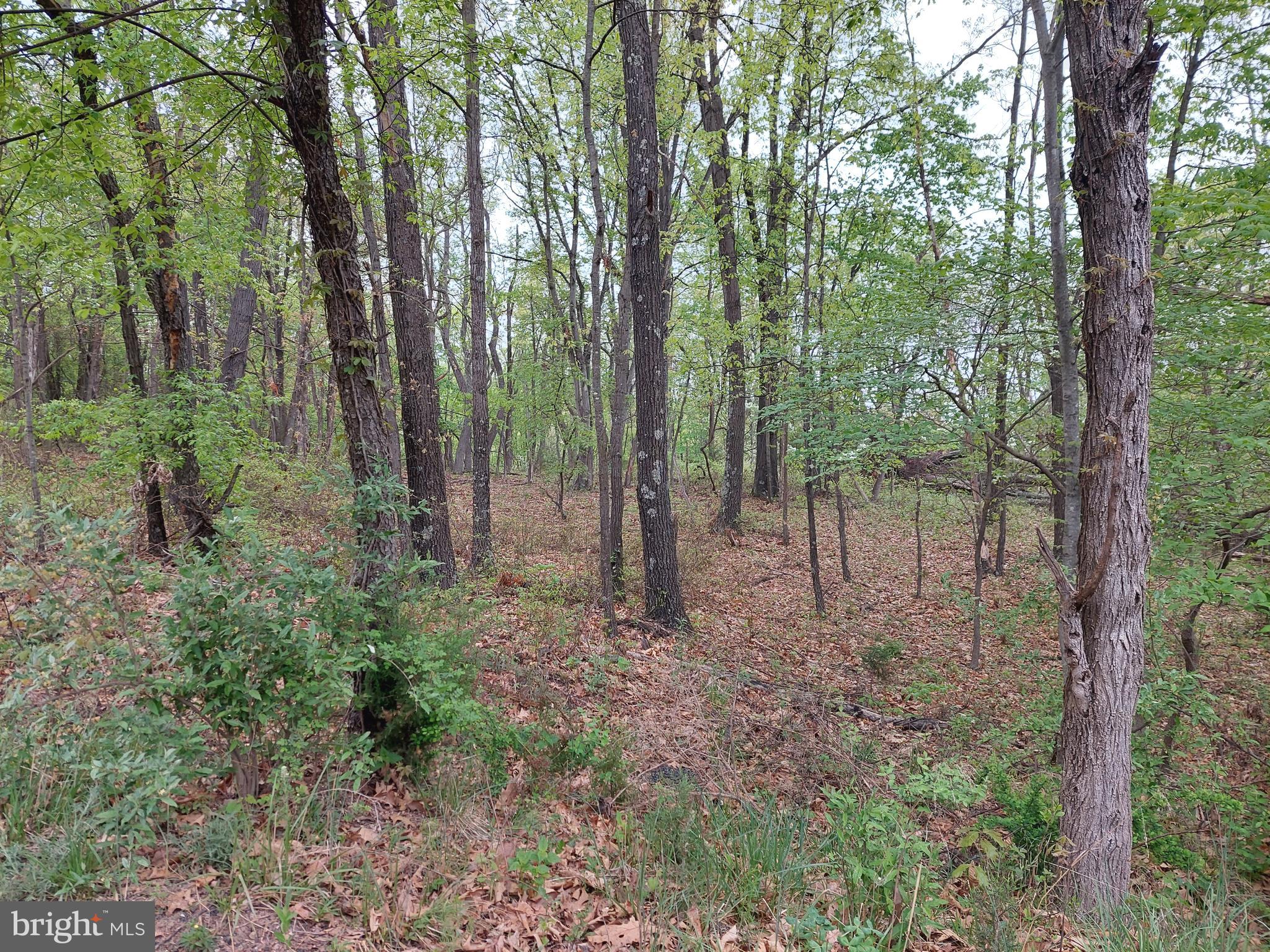 NORTH RIVER HIGHLANDS - Land