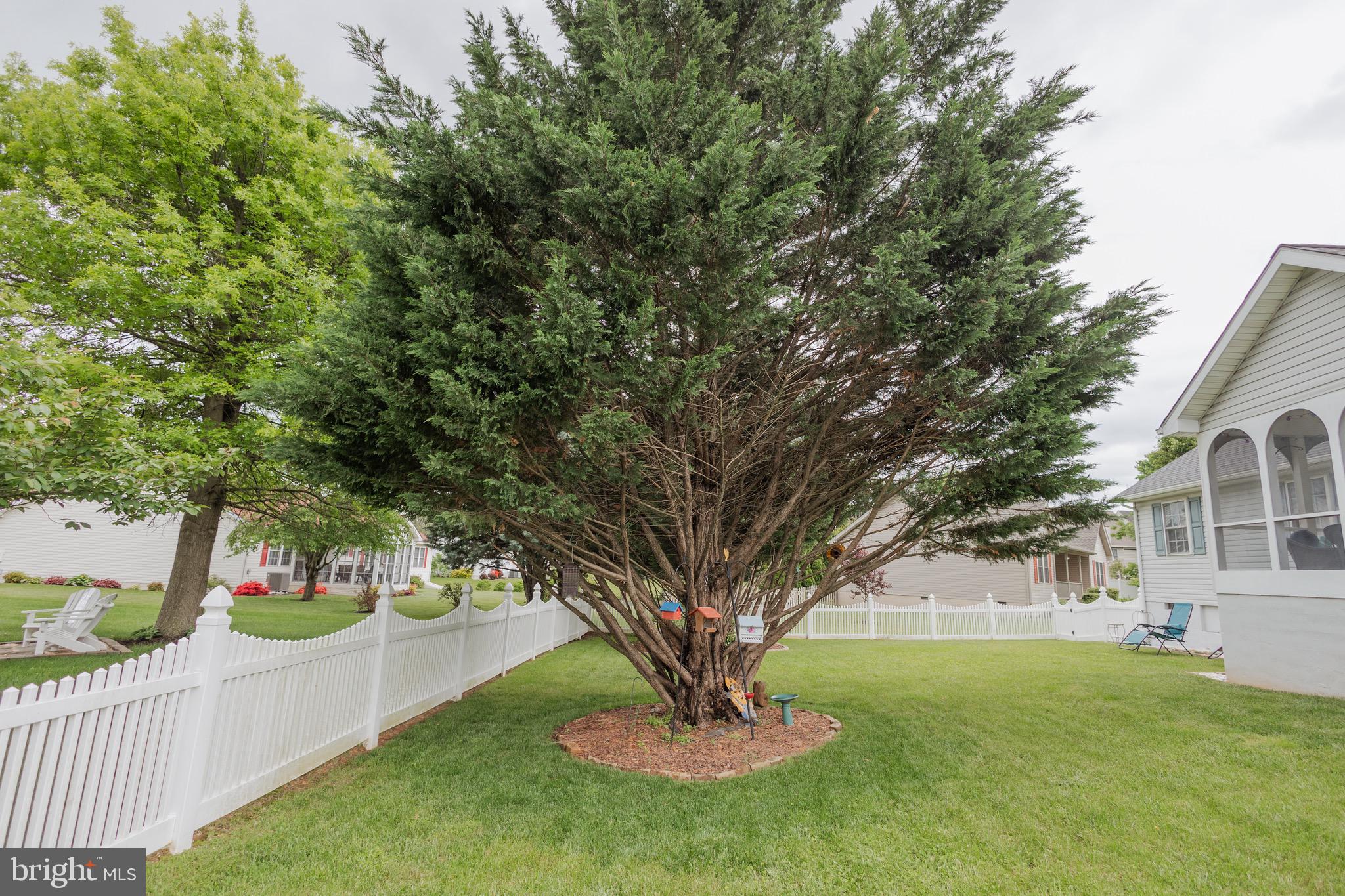 SPRING MILLS - Residential