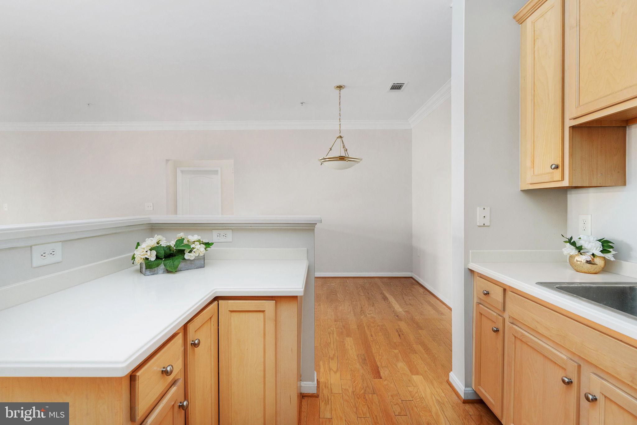 POTOMAC POINTE CONDOMINI - Residential