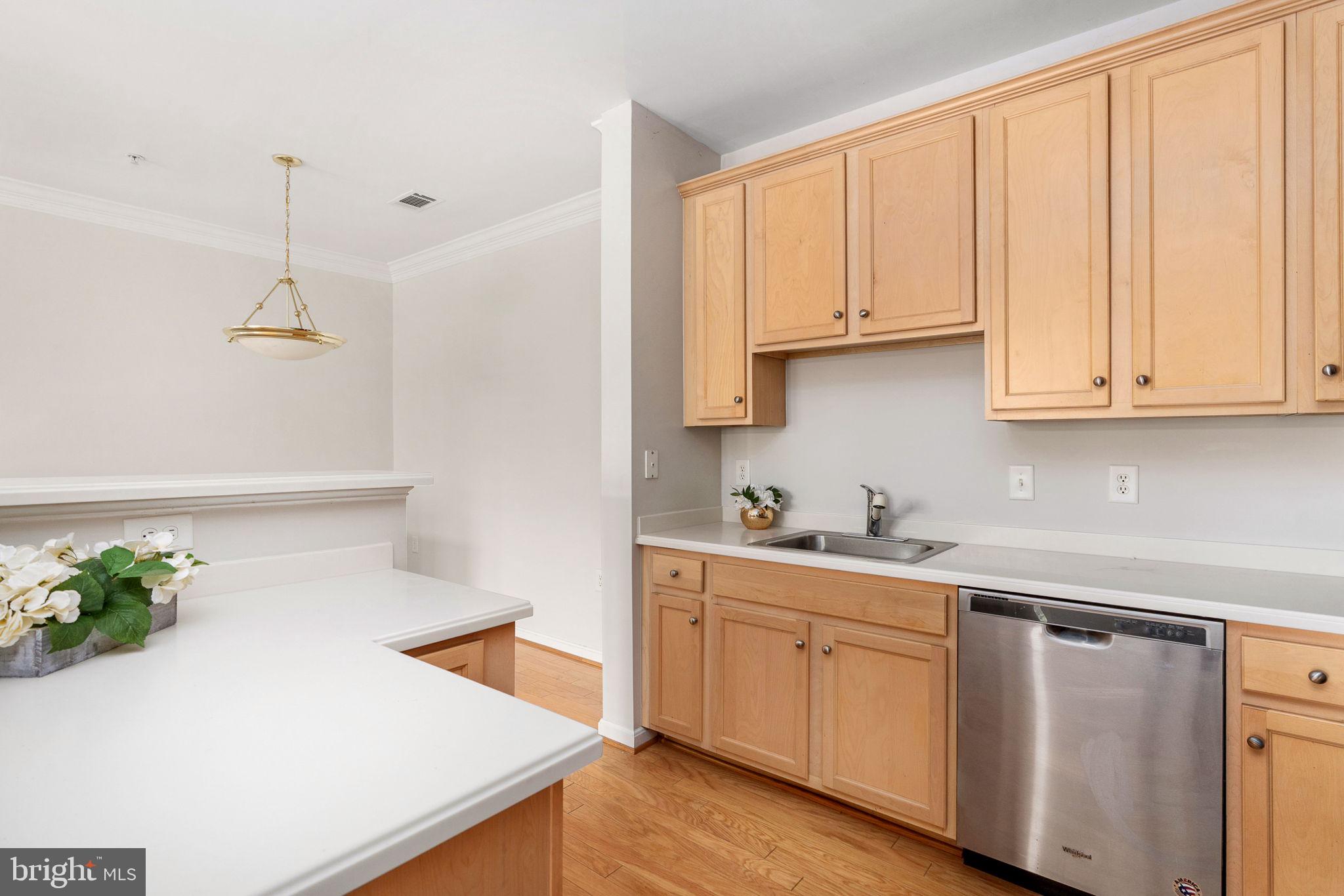 POTOMAC POINTE CONDOMINI - Residential