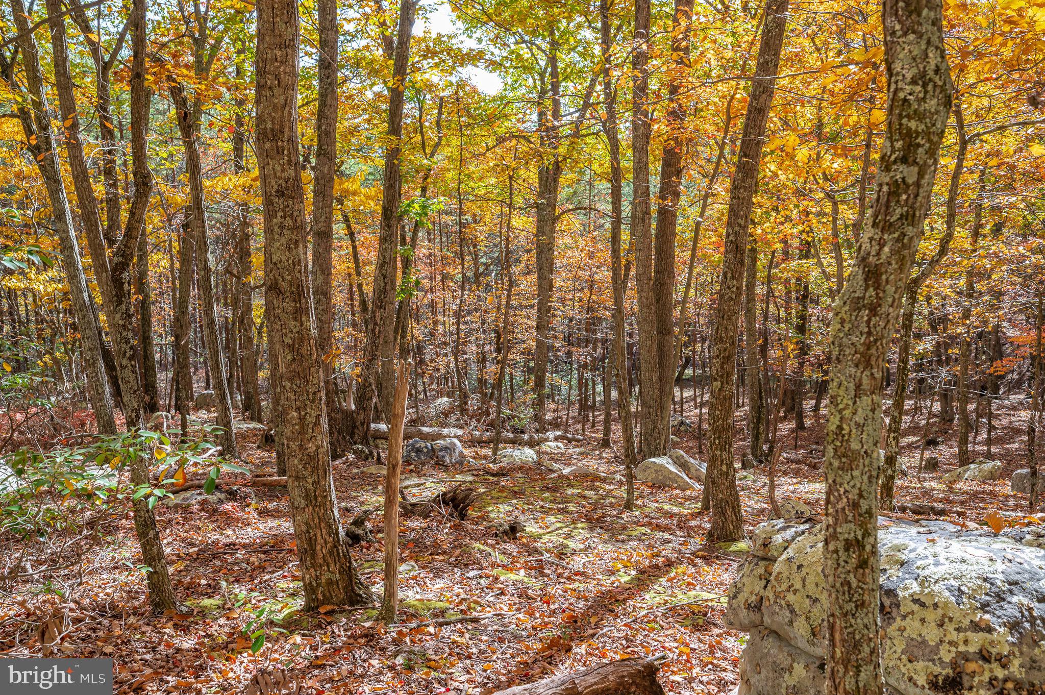 RIVER RIDGE - Residential