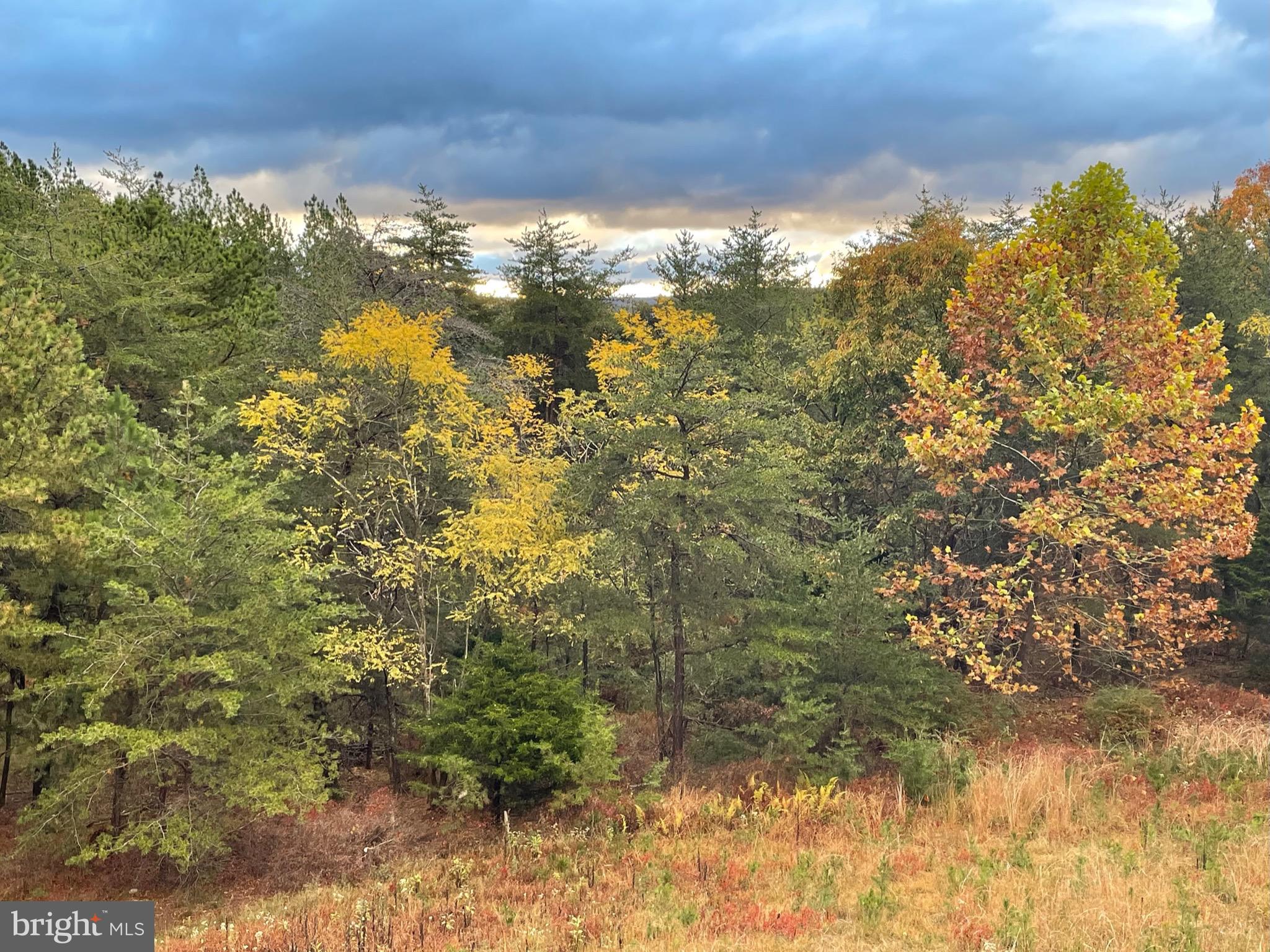 RIVER RIDGE - Residential