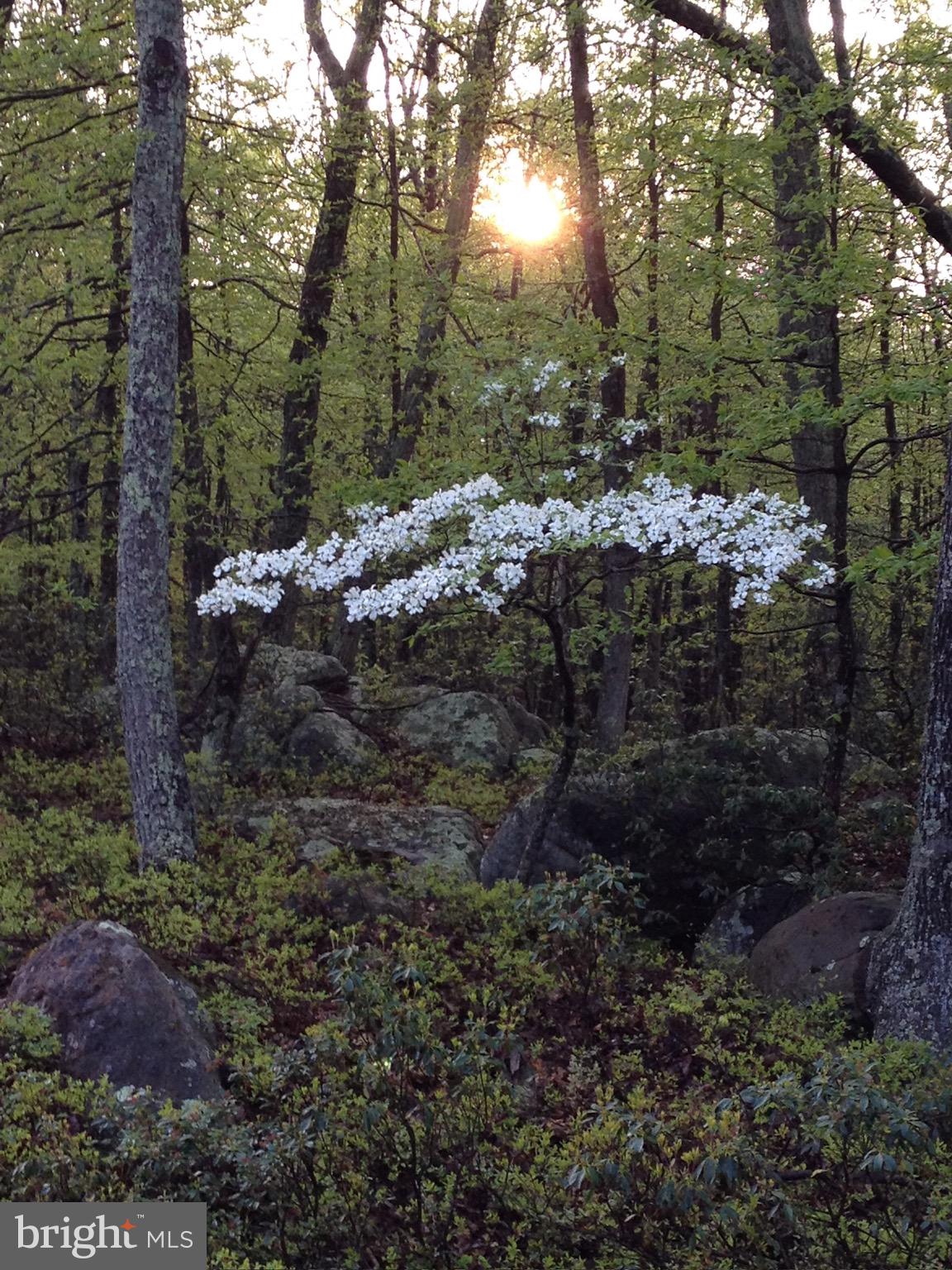 RIVER RIDGE - Residential