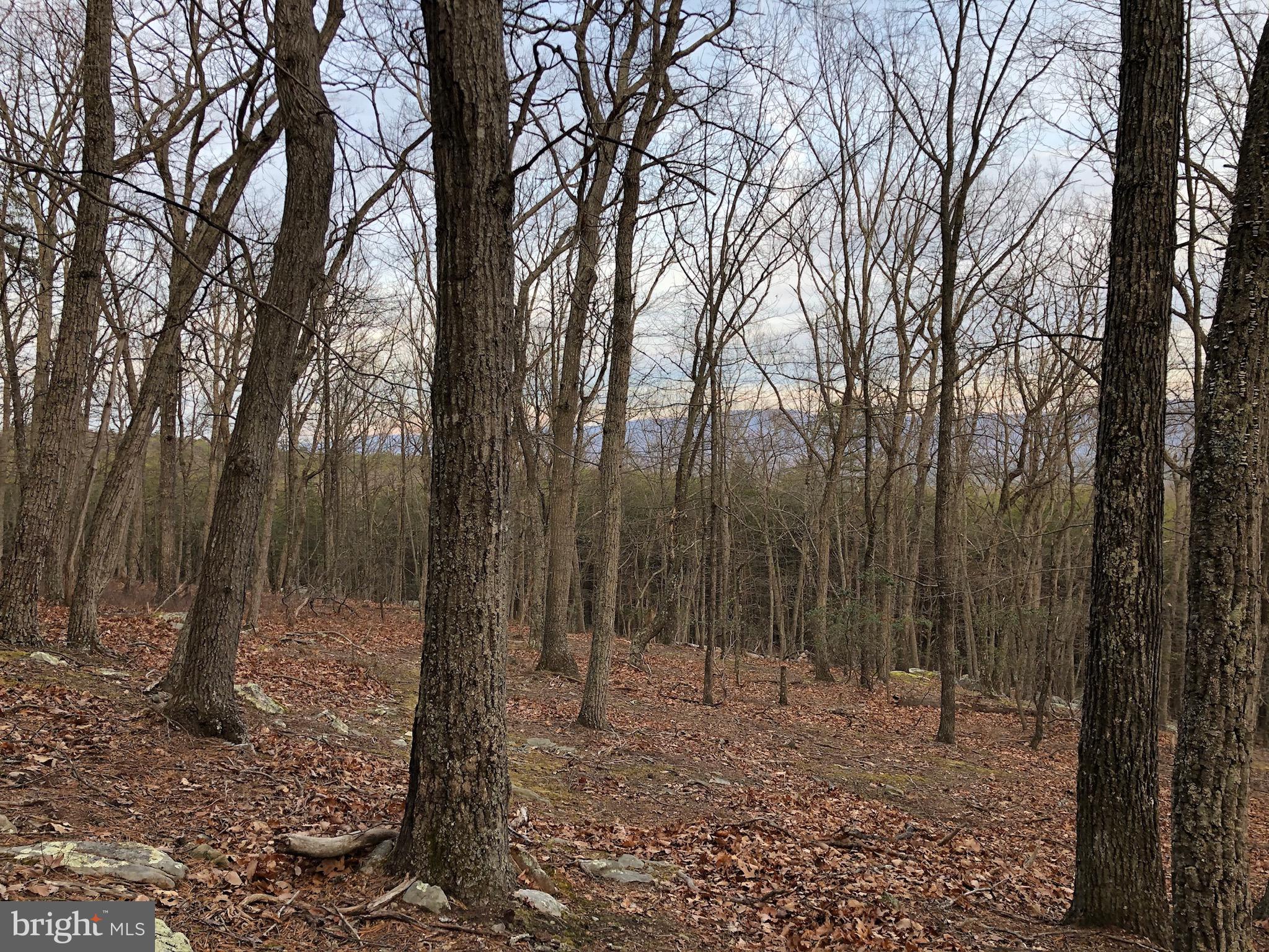 RIVER RIDGE - Residential