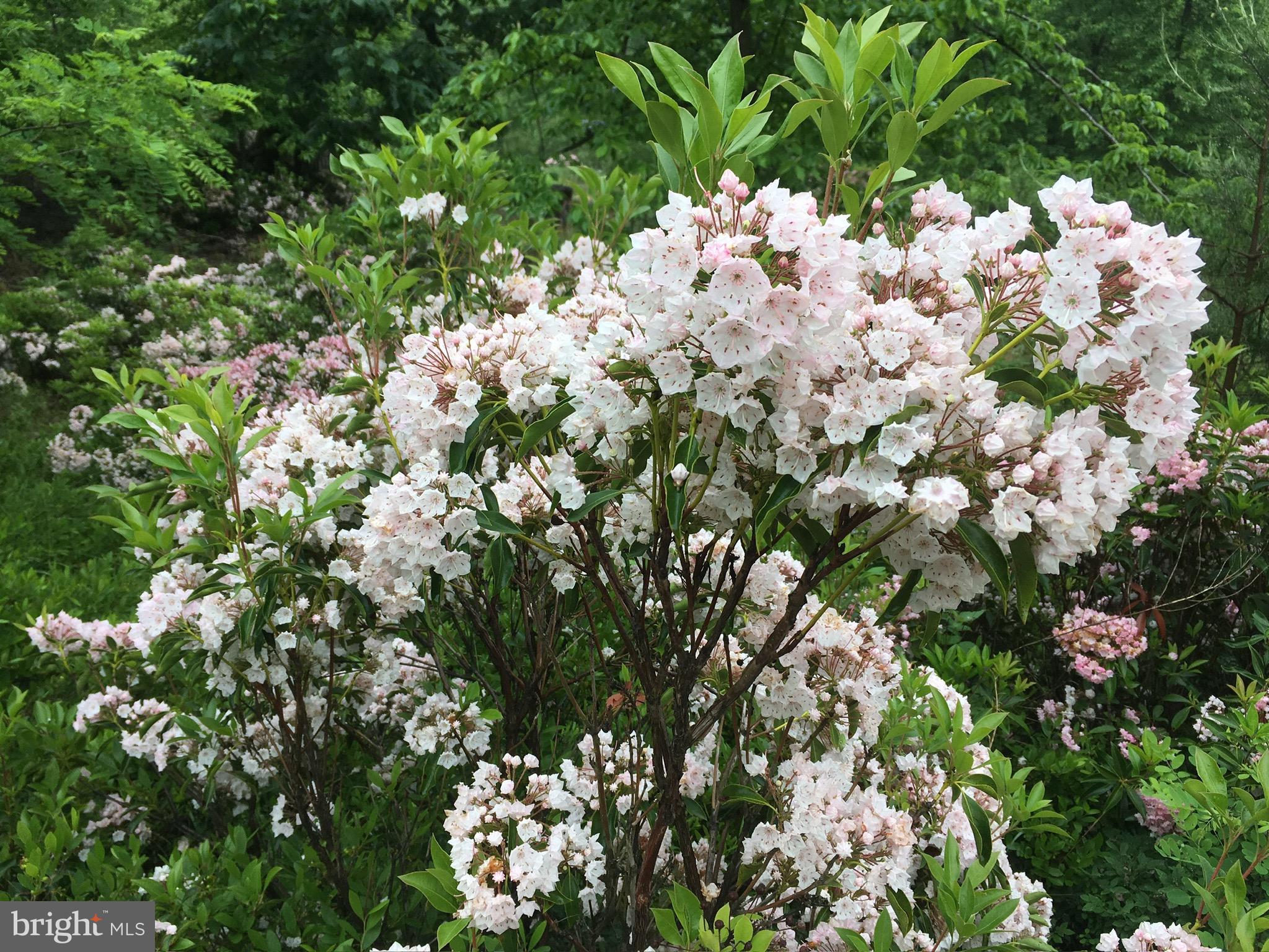 RIVER RIDGE - Residential