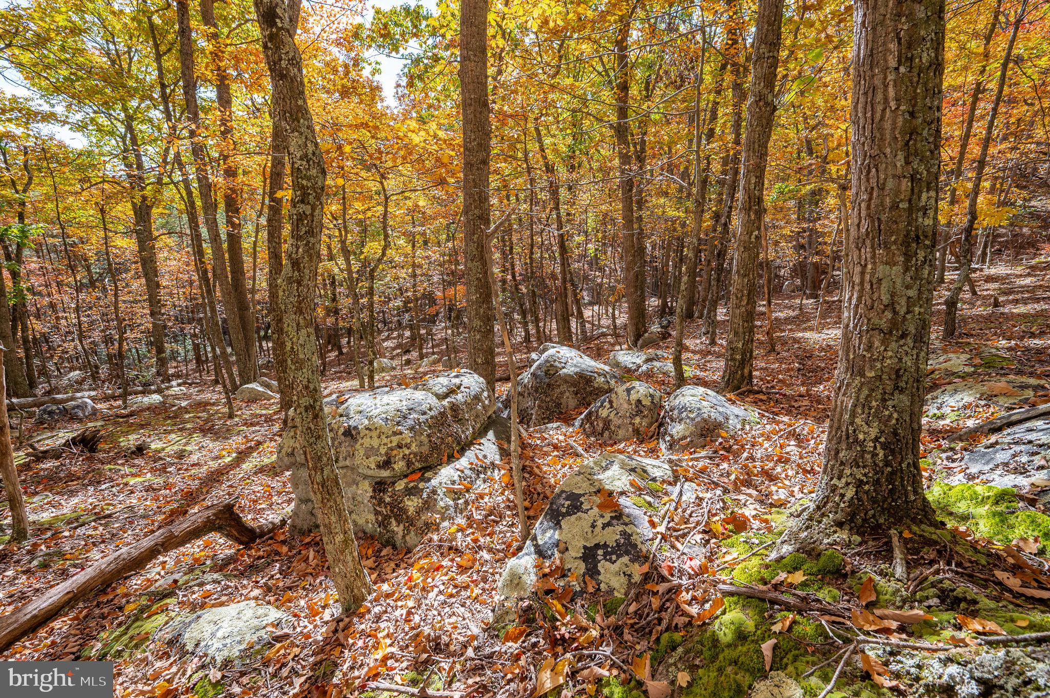 RIVER RIDGE - Residential