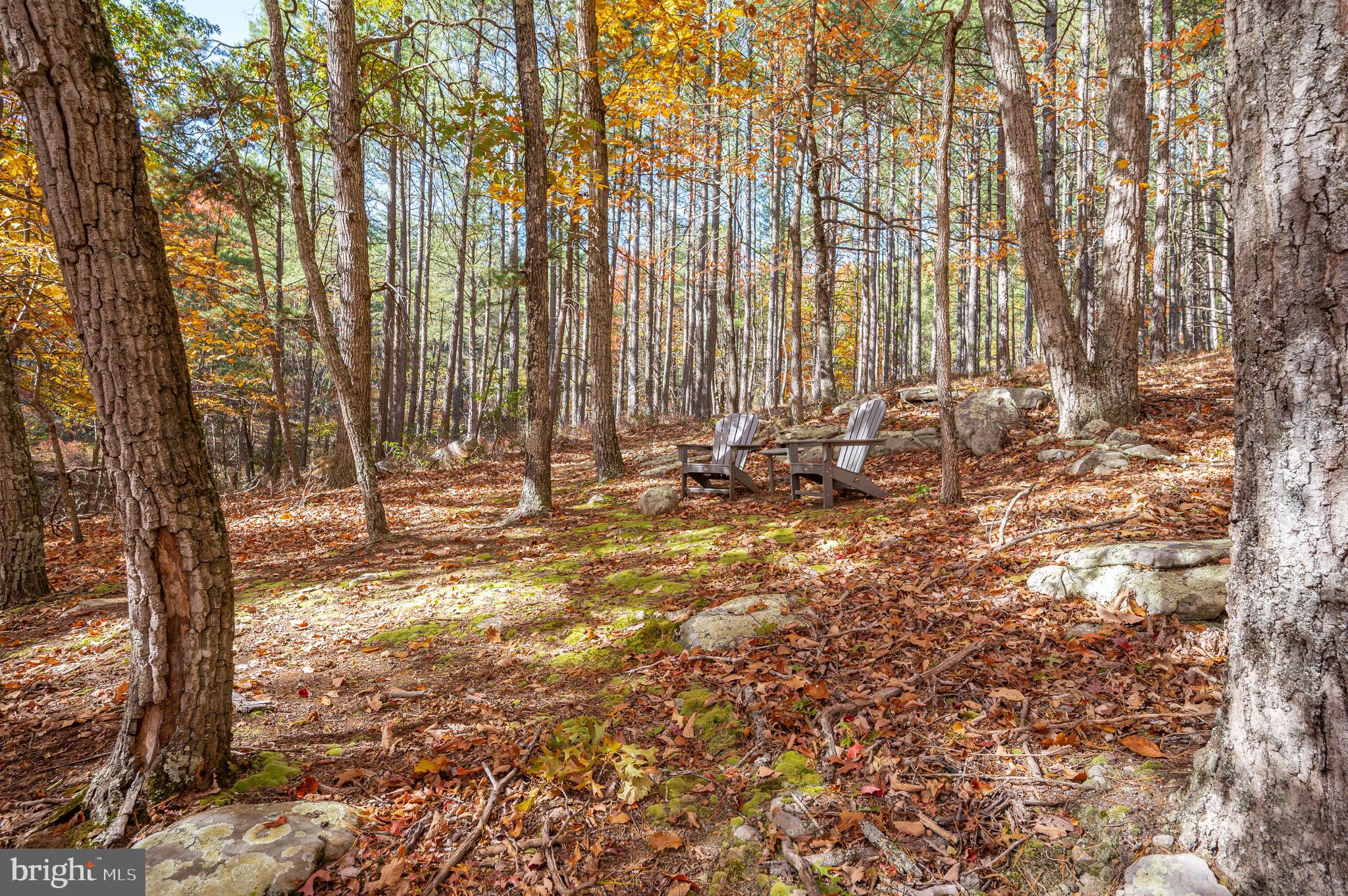 RIVER RIDGE - Residential