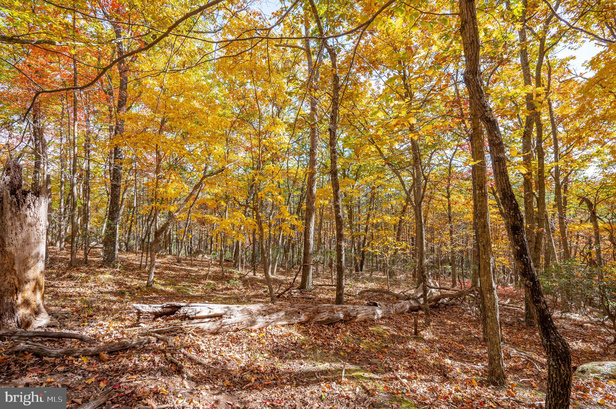 RIVER RIDGE - Residential