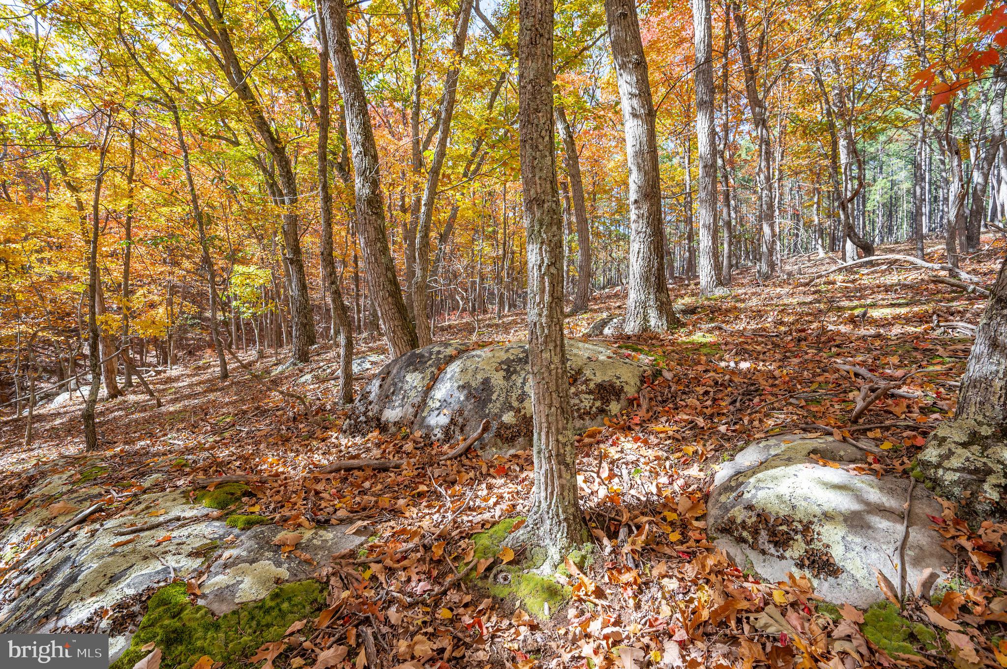 RIVER RIDGE - Residential