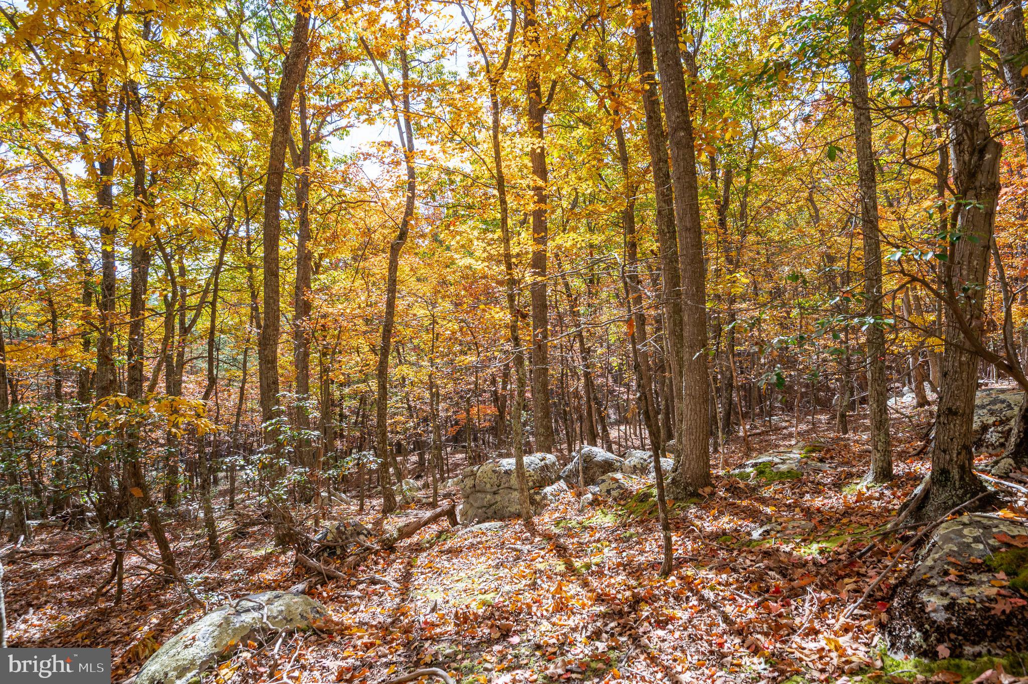 RIVER RIDGE - Residential