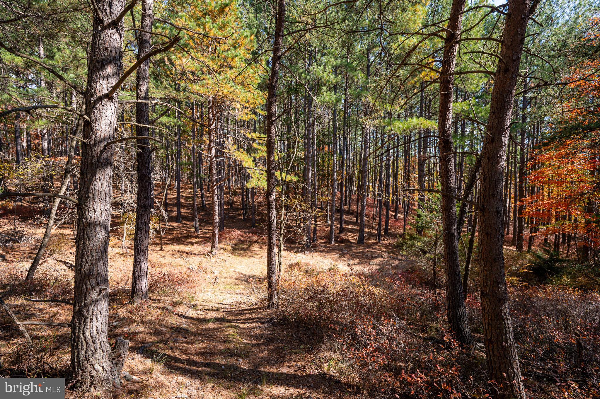 RIVER RIDGE - Residential