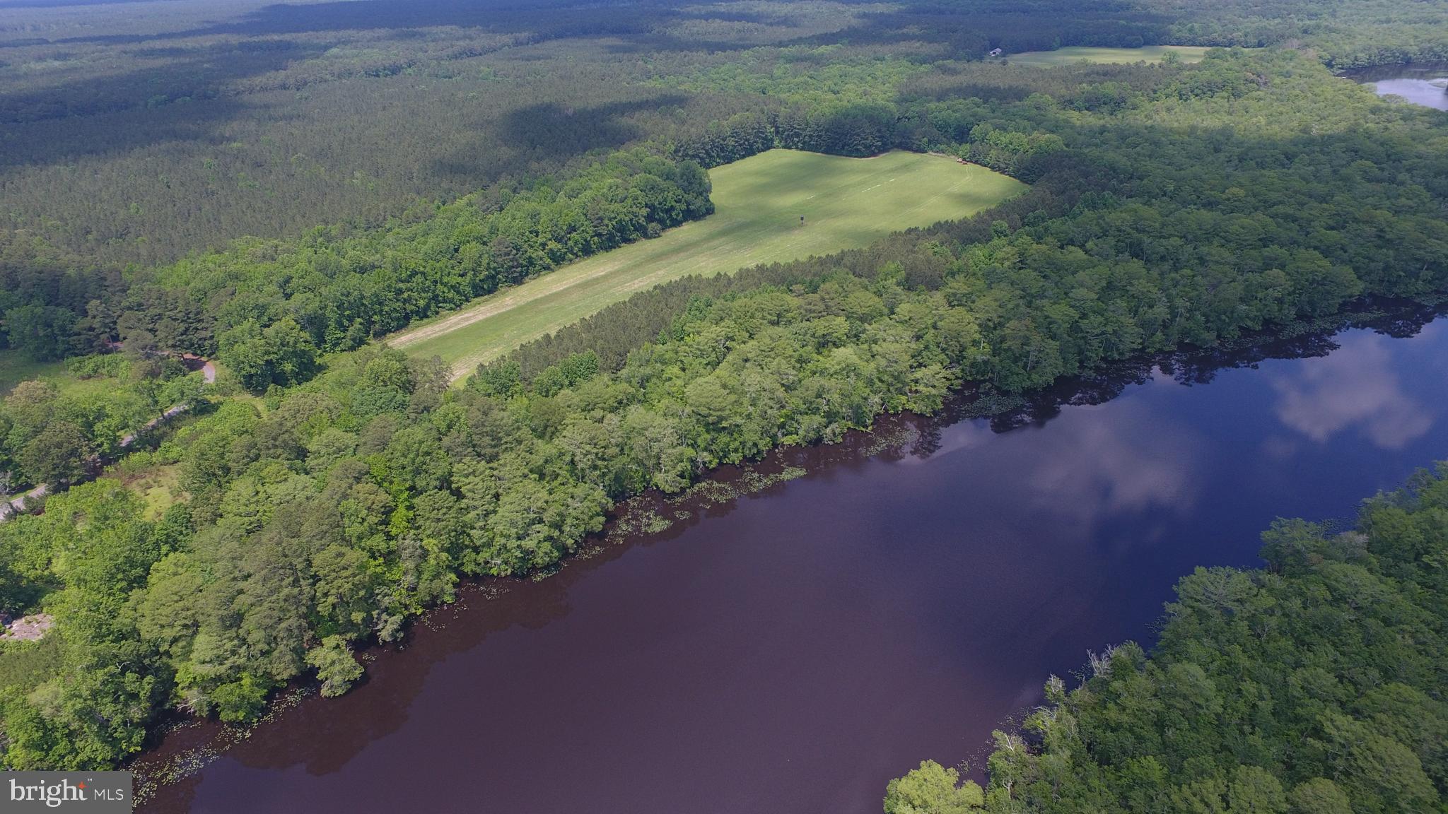 Unusual and Spectacular offering. 153.56 acres with 2650 ft fronting on the north bank of the Pocomoke River adjacent to the now state owned Nassawango Country Club. Fantastic Opportunity to own this Remarkable Waterfront Farm along one of the best Scenic Waterways on the Eastern Shore. Direct Deep Water Boat access to the river and Bay. Nature abounds with exceptional recreational opportunities for quality Whitetail Deer, Turkey, Ducks and Geese. Probably some of the best hunting in the County!! About 20 acres cleared in food plots and crops. Area in center of cleared ground is 1500 ft grass strip used as airstrip. Property is gated with access from Nassawango Road. Various trails run through the wooded area to the clearing then to the river. Great soils for growing the professionally managed Timber. Elevations vary and rise to 25 ft in some areas. Just 20 miles to Assateague Island National Seashore and Ocean City Beaches. There are only a handful of properties like this on Delmarva and especially the majestic Pocomoke River.