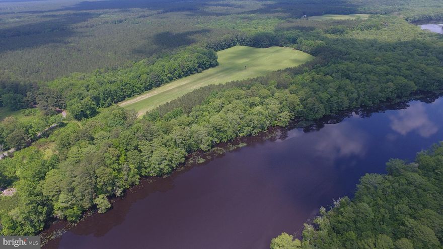 Unusual and Spectacular offering. 153.56 acres with 2650 ft fronting on the north bank of the Pocomoke River adjacent to the now state owned Nassawango Country Club. Fantastic Opportunity to own this Remarkable Waterfront Farm along one of the best Scenic Waterways on the Eastern Shore.  Direct Deep Water Boat access to the river and Bay. Nature abounds with exceptional recreational opportunities for quality Whitetail Deer, Turkey, Ducks and Geese. Probably some of the best hunting in the County!! About 20 acres cleared in food plots and crops. Area in center of cleared ground is 1500 ft grass strip used as airstrip. Property is gated with access from Nassawango Road. Various trails run through the wooded area to the clearing then to the river. Great soils for growing the professionally managed Timber. Elevations vary and rise to 25 ft in some areas. Just 20 miles to Assateague Island National Seashore and Ocean City Beaches. There are only a handful of properties like this on Delmarva and especially the majestic Pocomoke River.