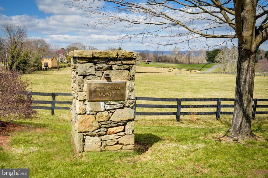 LIVE JUST MINUTES TO HISTORIC MIDDLEBURG! BEAUTIFUL BUILDING LOT FOR YOUR CUSTOM HOME IN MIDDLEBURG DOWNS - A BUCOLIC NEIGHBORHOOD SEVERAL MINUTES WEST OF HISTORIC MIDDLEBURG. THIS WALKABLE COMMUNITY HAS LARGE LOTS AND MOUNTAIN VIEWS, HIGH-SPEED INTERNET AVAILABLE.