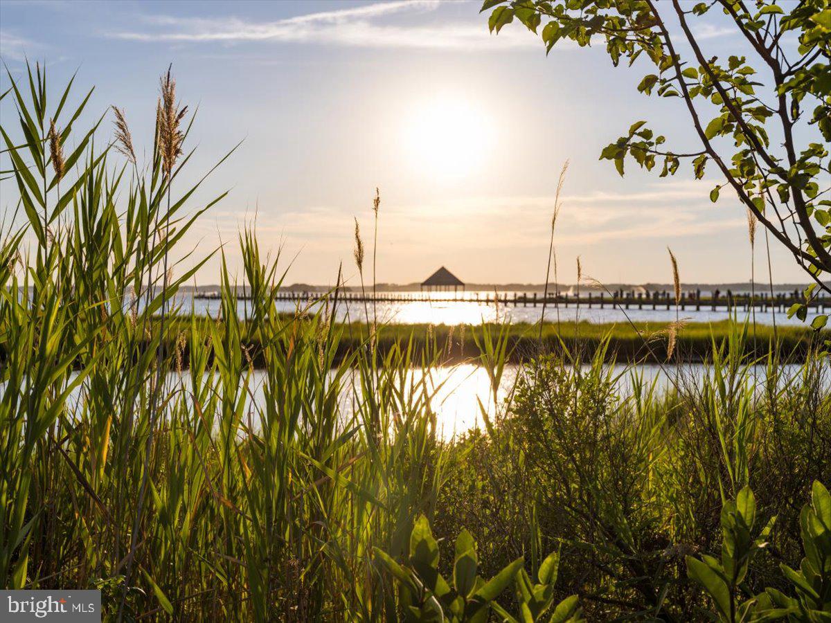 HERON HARBOUR - Residential