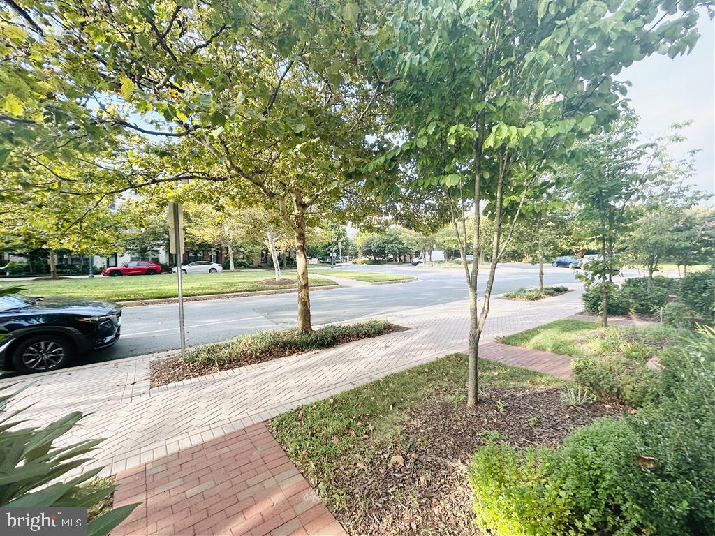 KING FARM - Residential