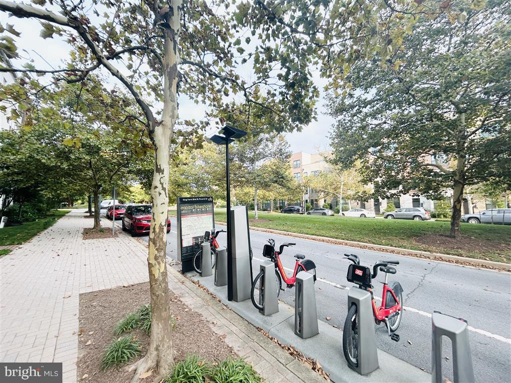 KING FARM - Residential