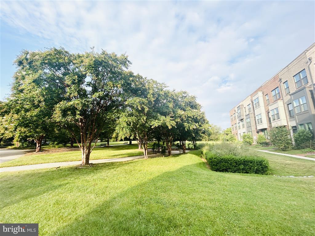 KING FARM - Residential