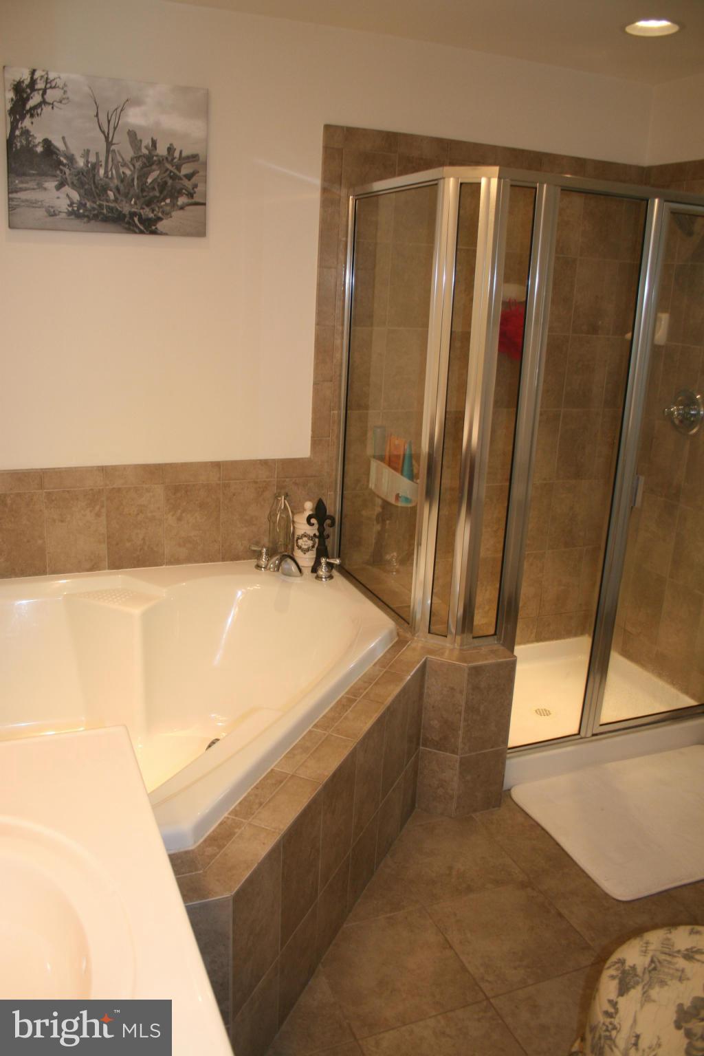 STONE SPRINGS CONDOMINIUMS - Residential Lease