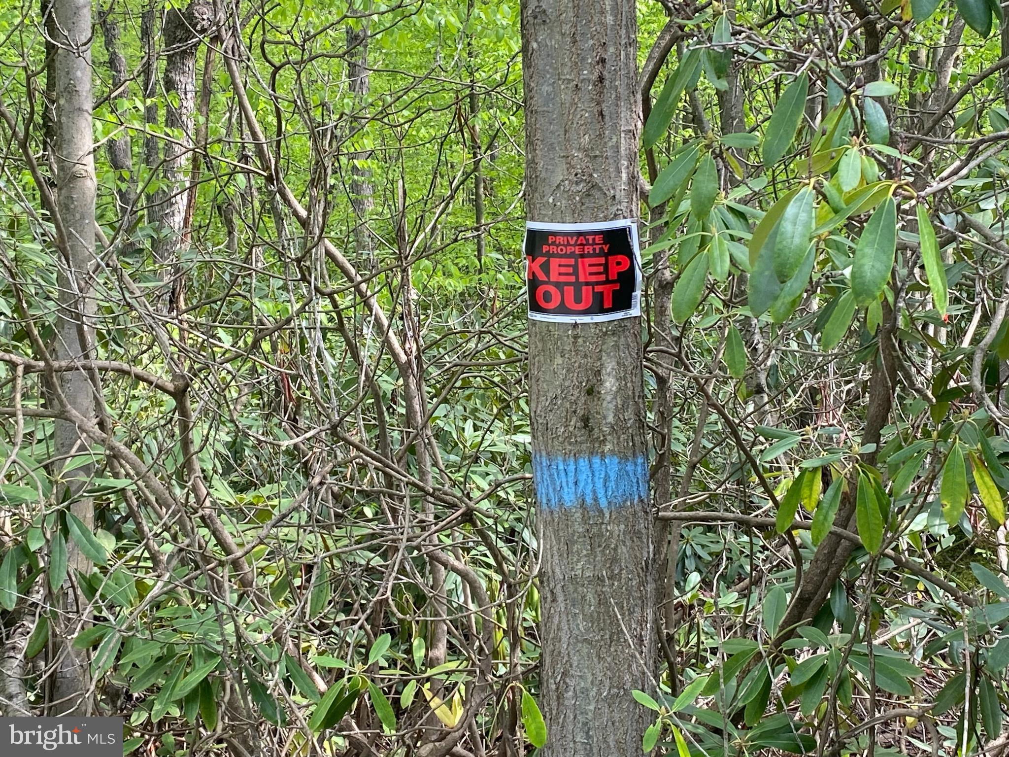 PINEY MOUNTAIN CORP - Land