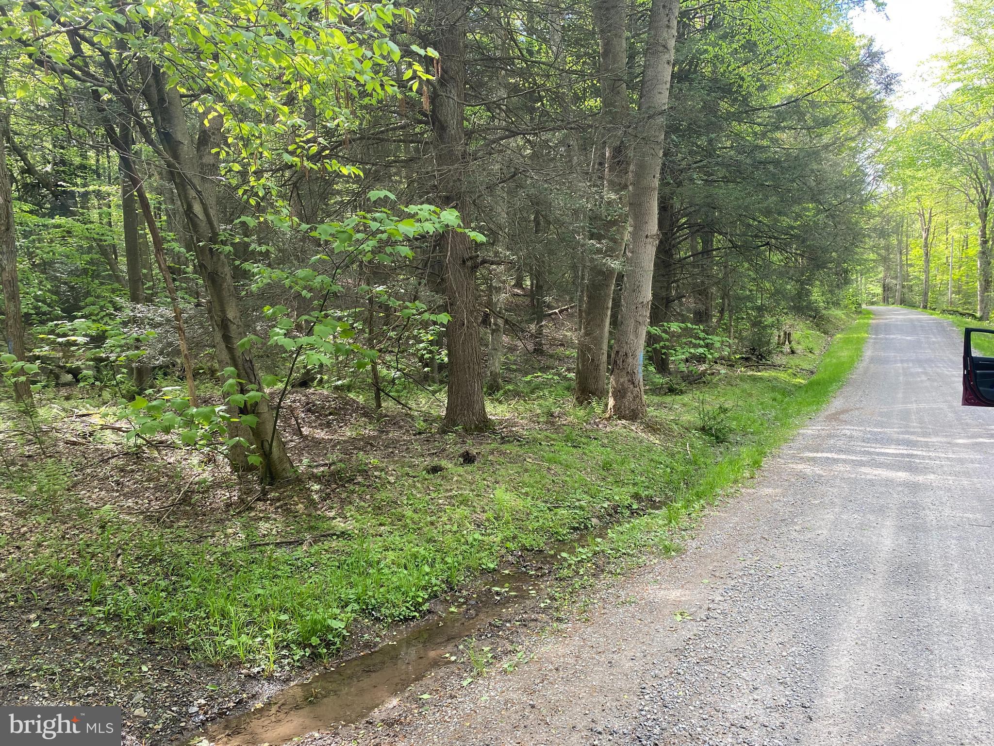 PINEY MOUNTAIN CORP - Land