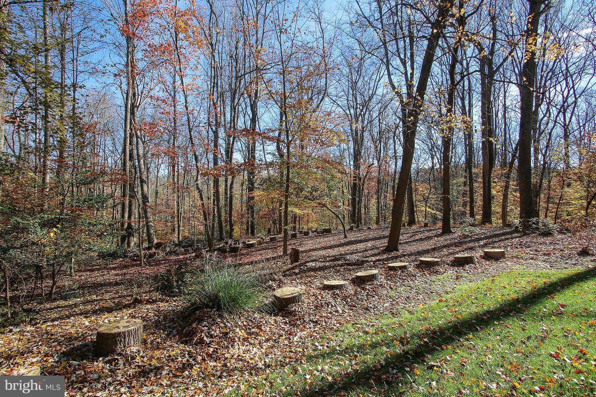 TIMBERWOOD OF POTOMAC - Residential