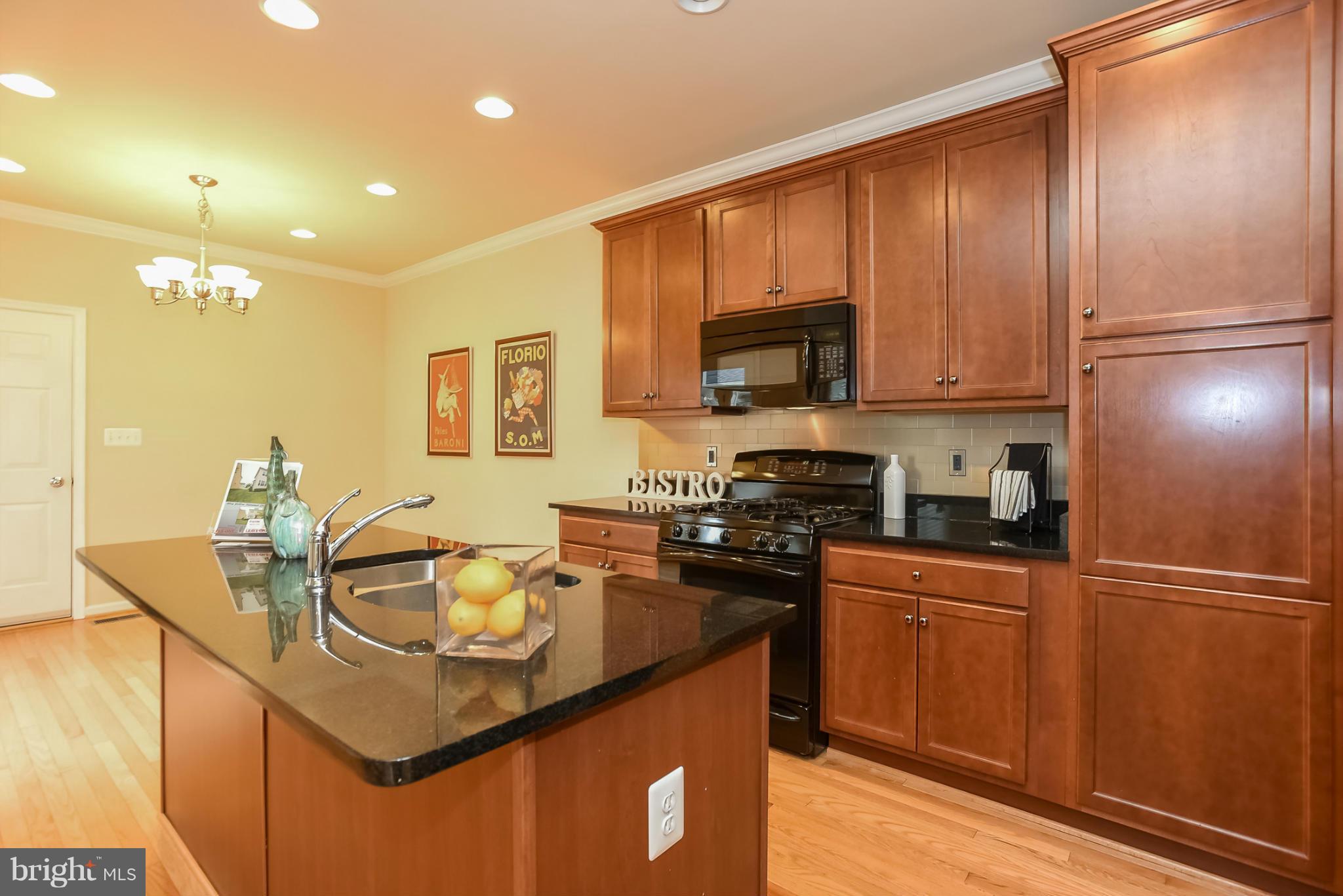 MEADOWS AT MORRIS FARM - Residential