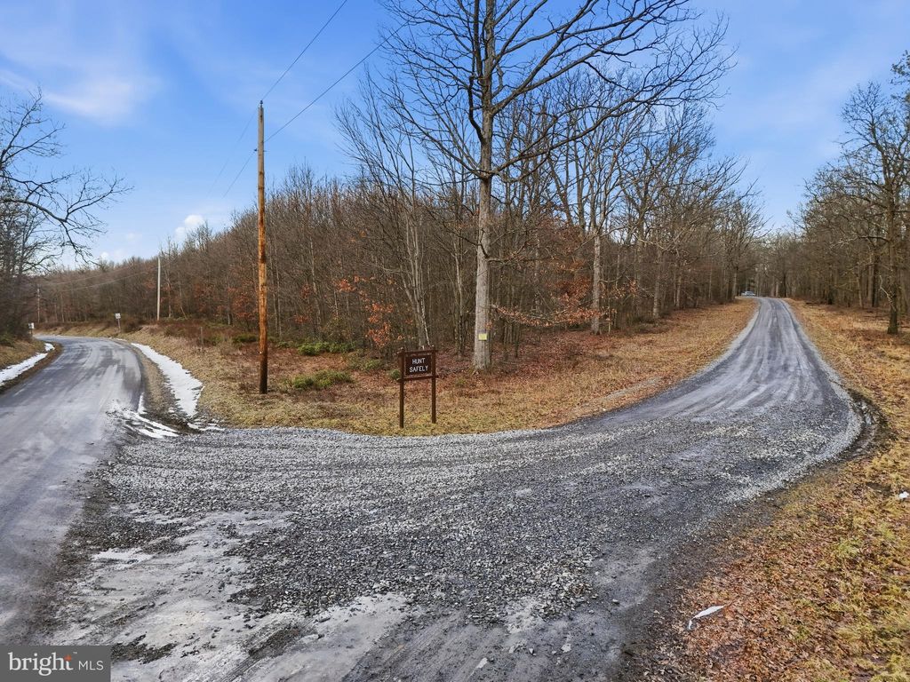 Photo of 0 Barrons Road, LA JOSE, PA 15753 (MLS # PACD2045062)