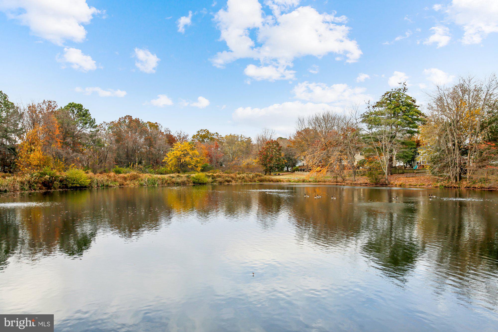 FRANKLIN FARM - Residential