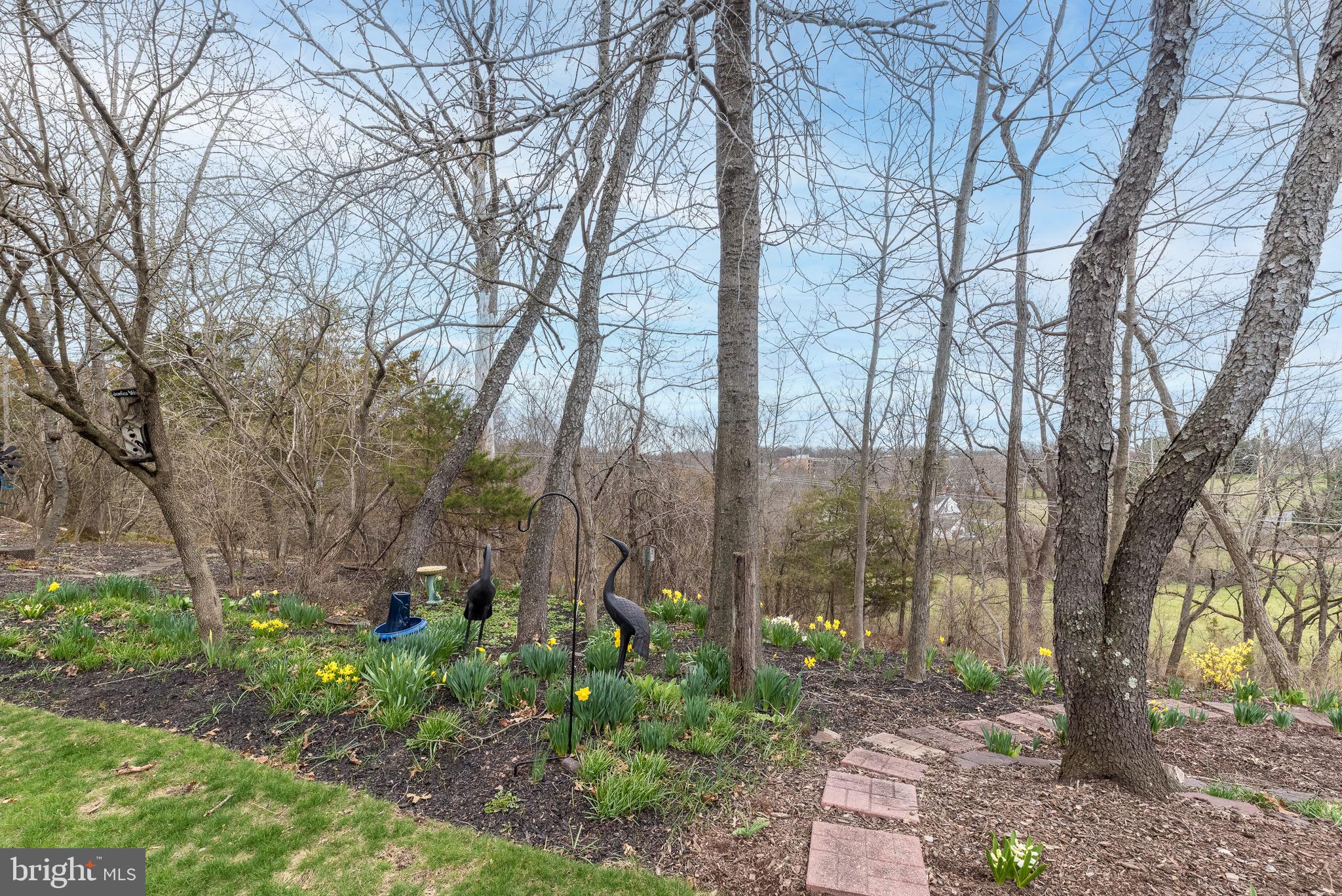 VILLAGE AT ROSECLIFF - Residential