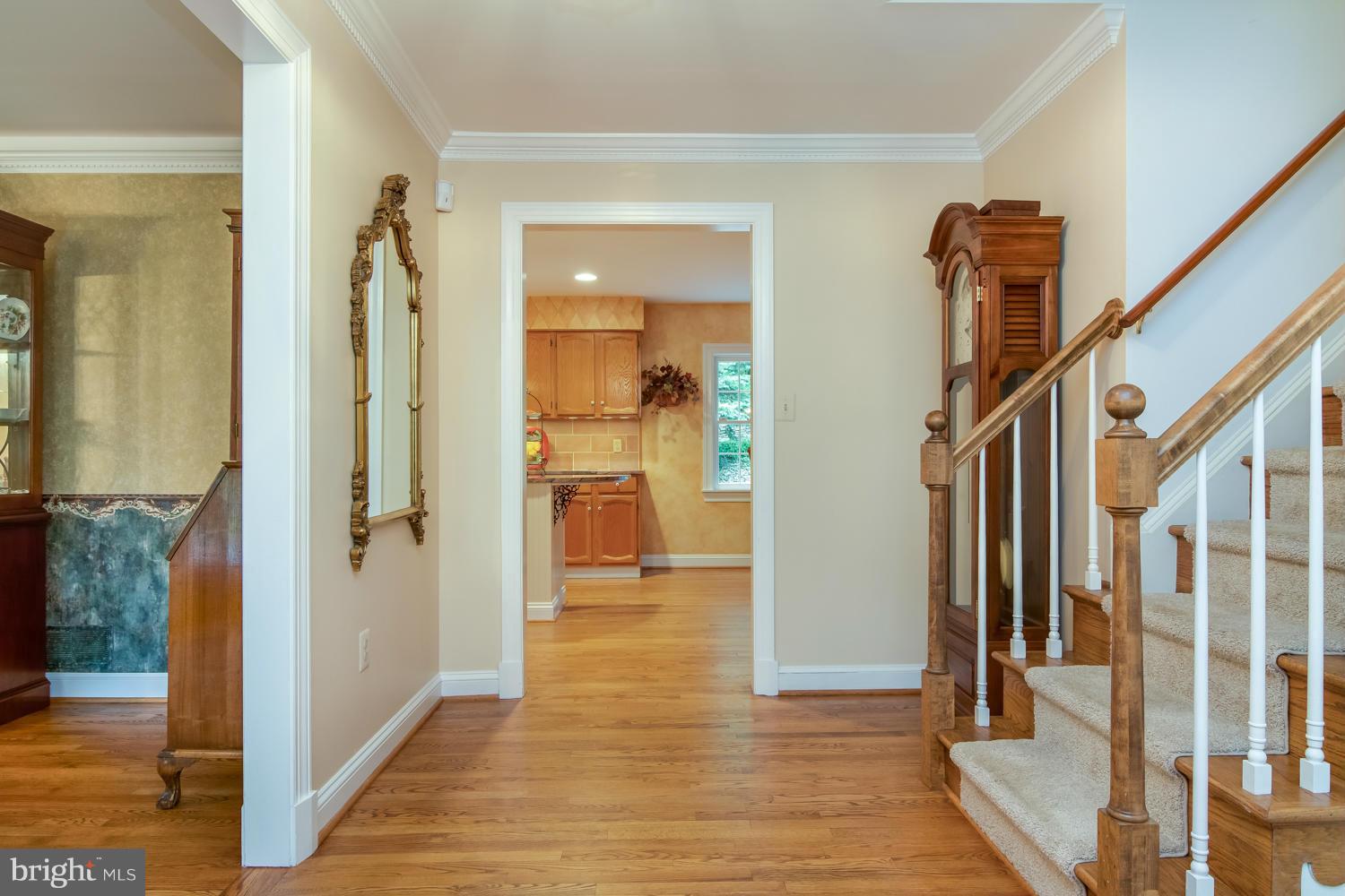 BELLEVIEW ESTATES - Residential