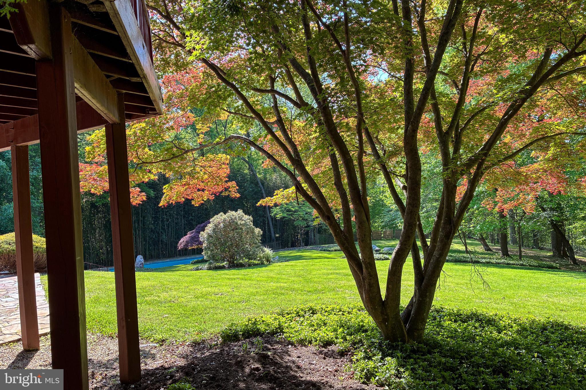MAZZA WOODS - Residential