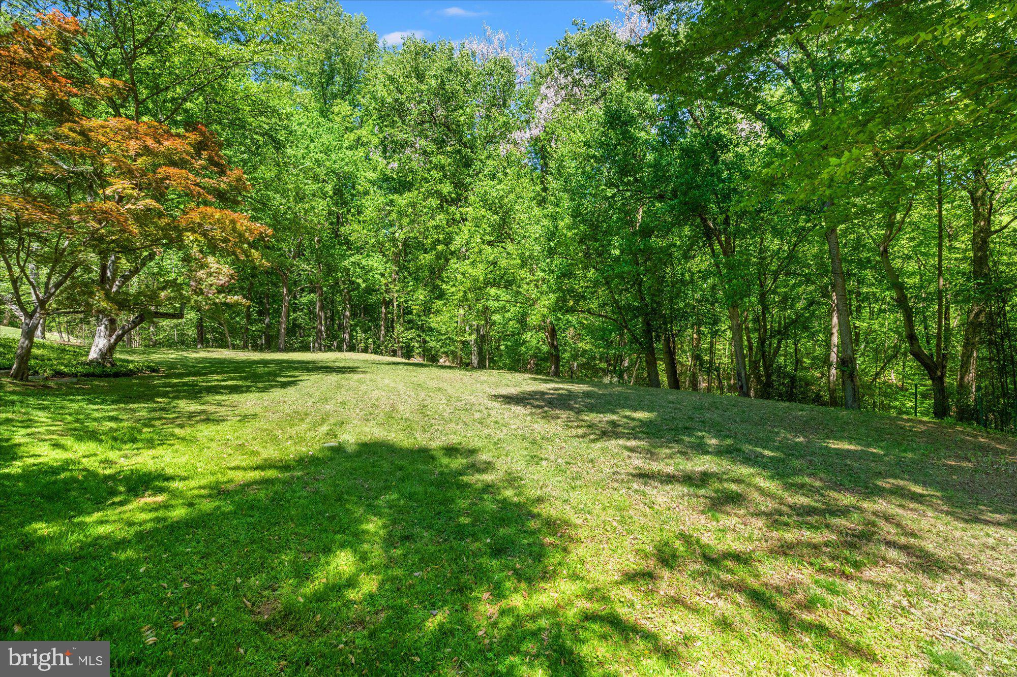 MAZZA WOODS - Residential