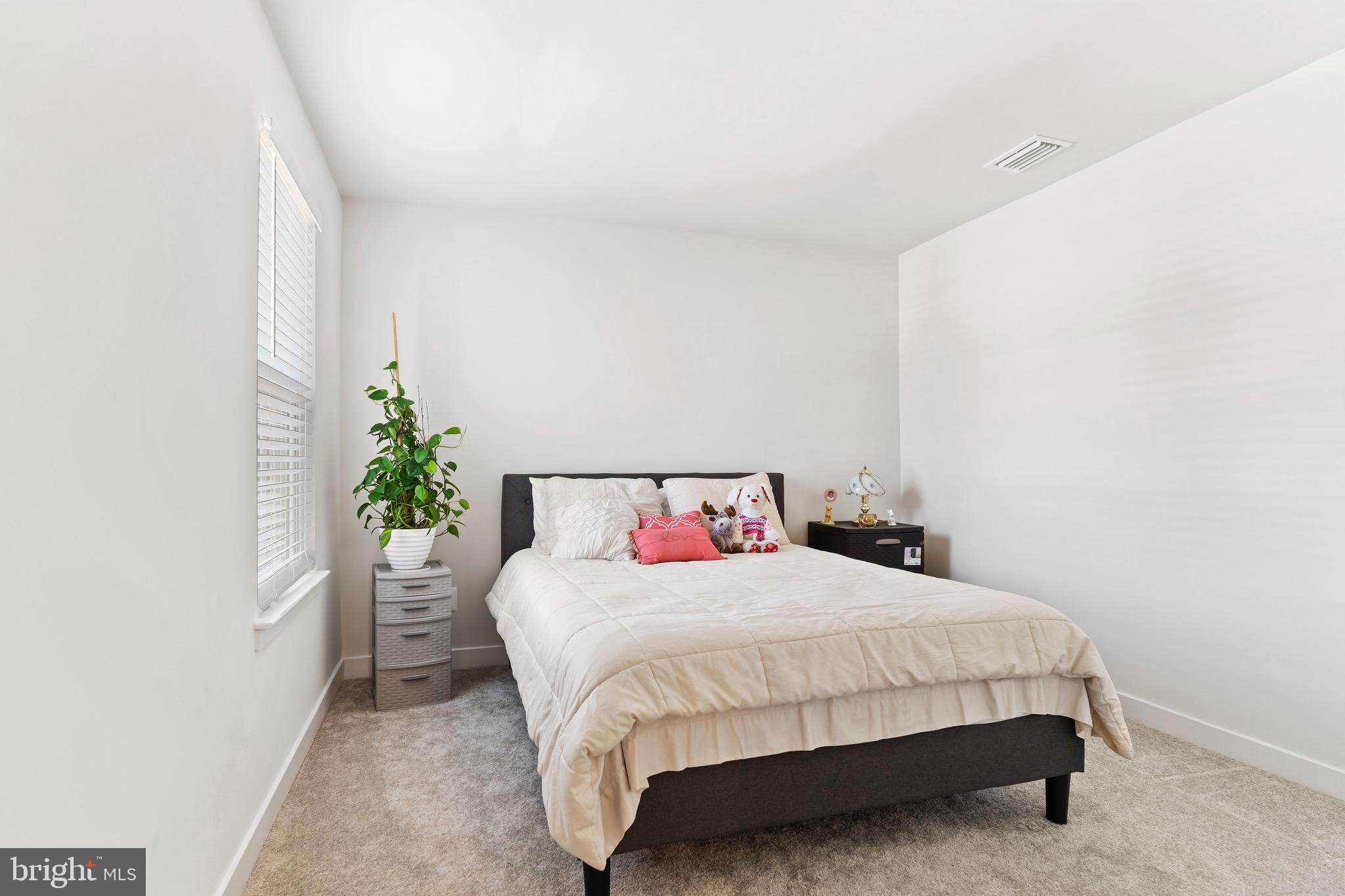 BLUE RIDGE PARK - Residential