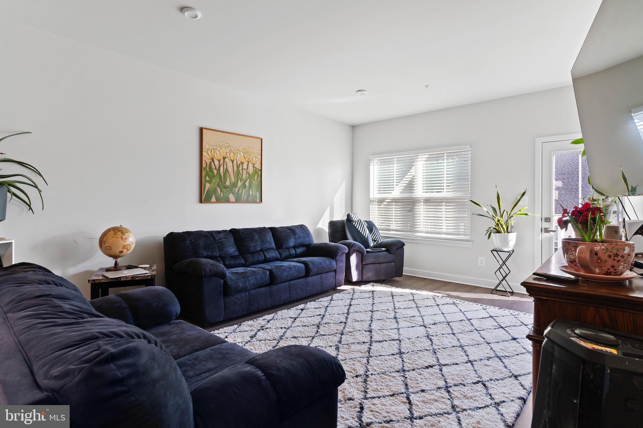 BLUE RIDGE PARK - Residential