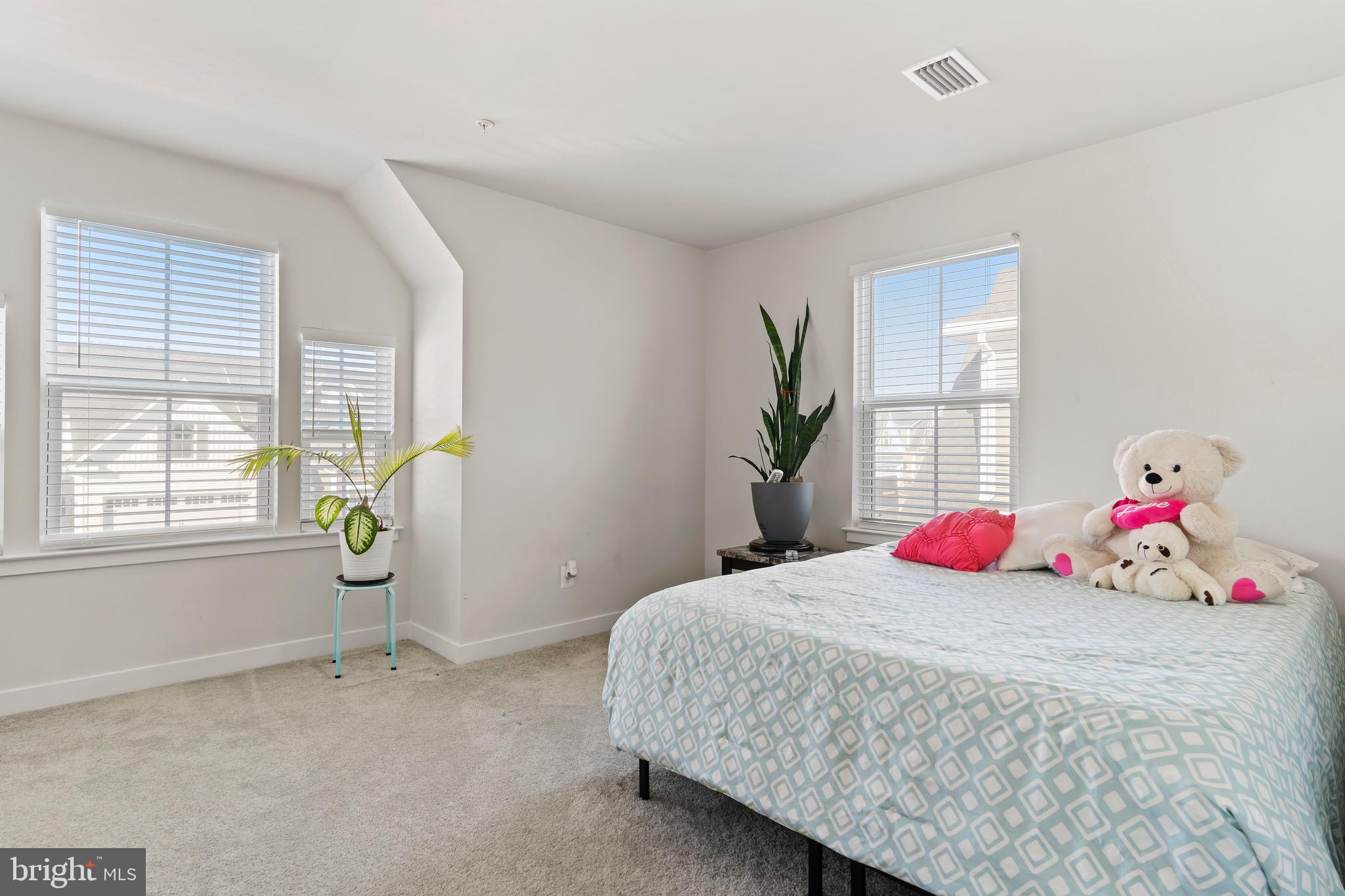 BLUE RIDGE PARK - Residential