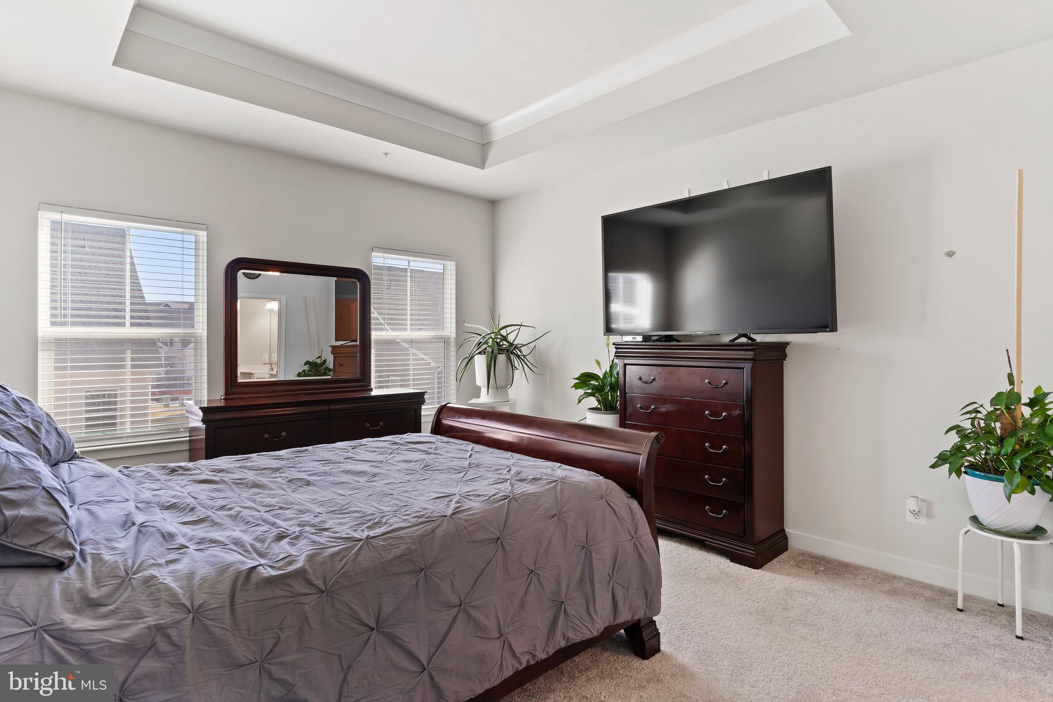 BLUE RIDGE PARK - Residential