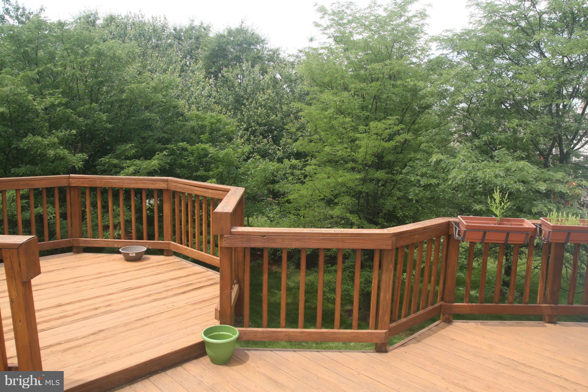 POTOMAC LAKES - Residential Lease