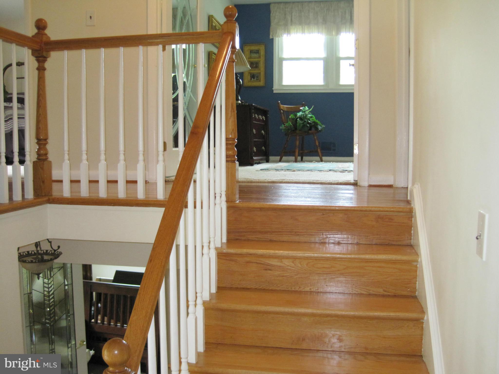 RUTHERFORD - Residential Lease