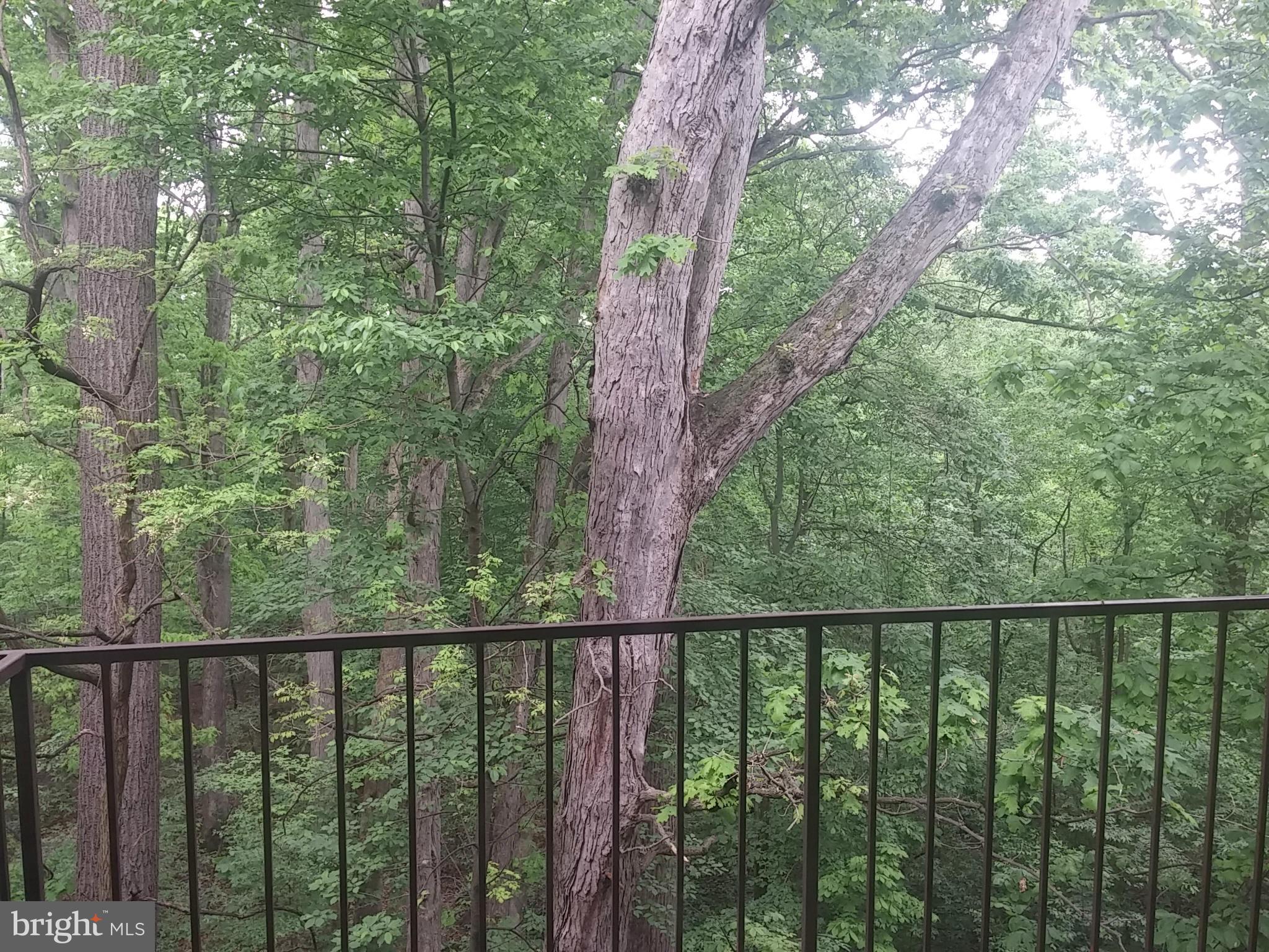 PARK SPRING - Residential Lease