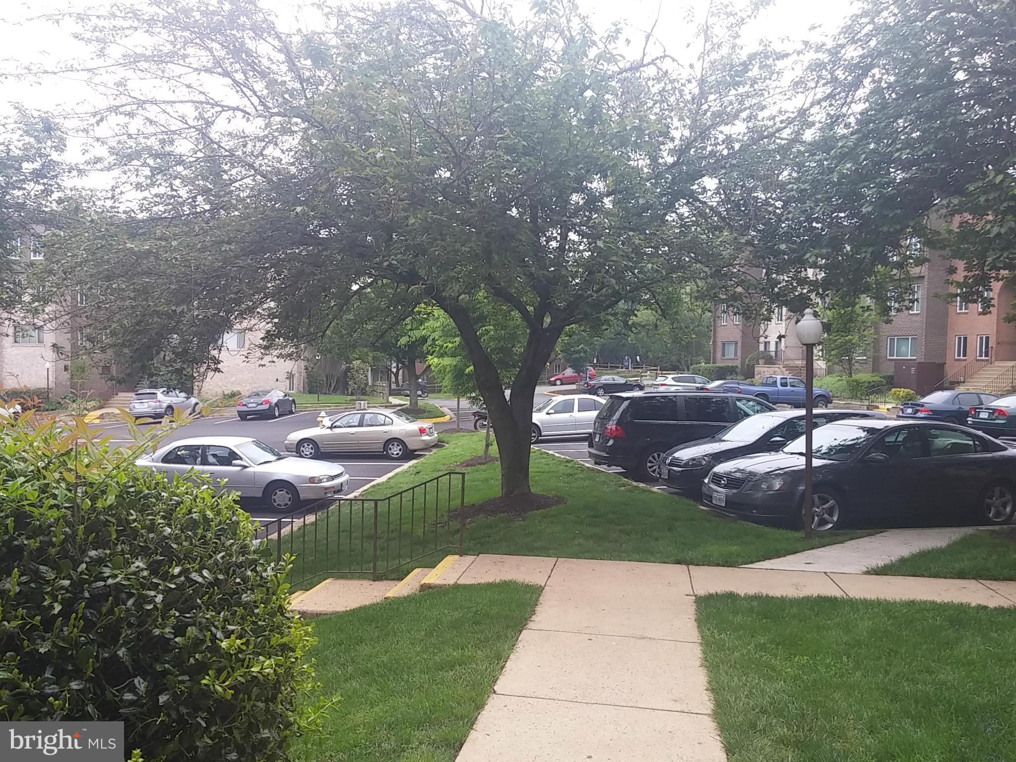 PARK SPRING - Residential Lease