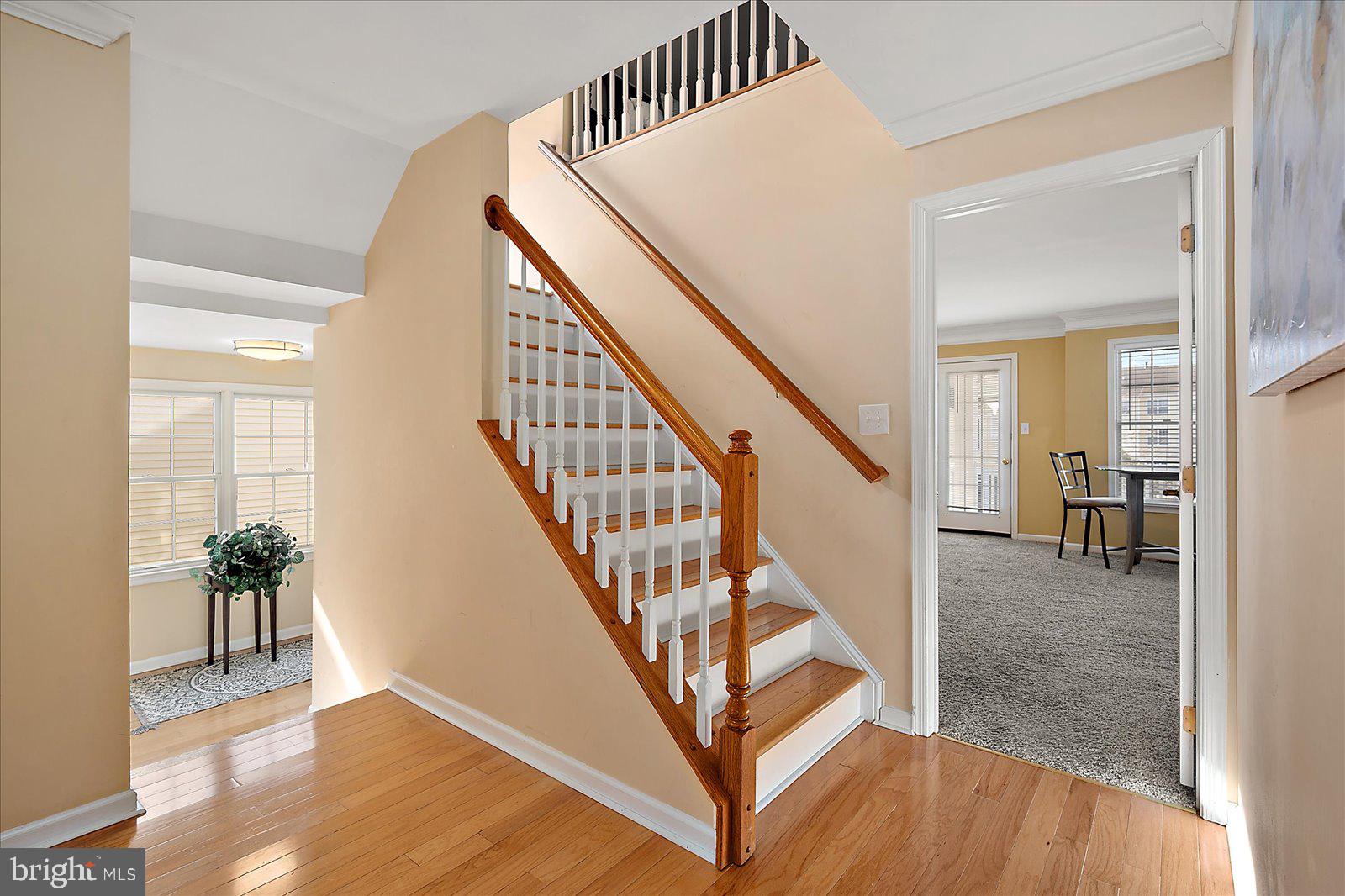 BAYSIDE - Residential