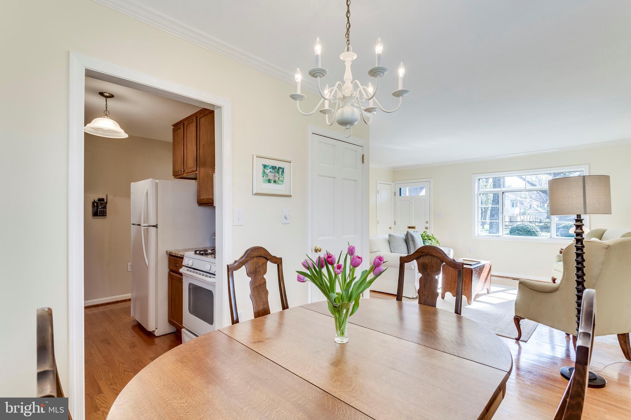 NEW ALEXANDRIA - Residential