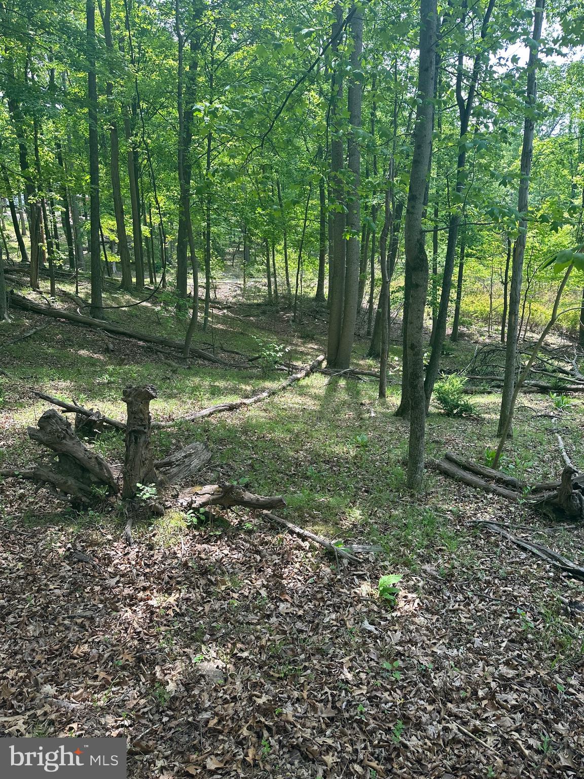 ROUSE MOUNTAIN - Land