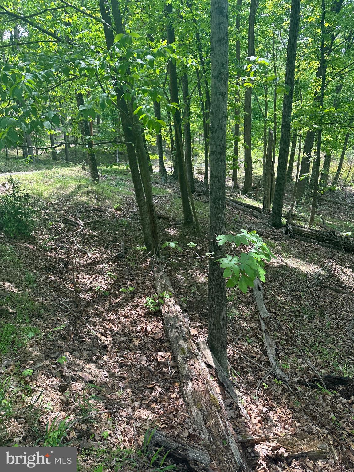 ROUSE MOUNTAIN - Land