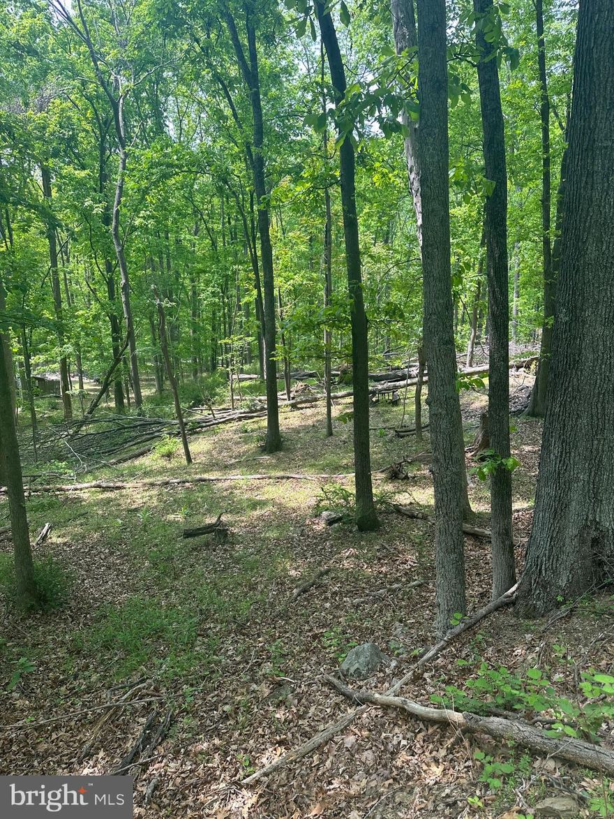 Very nice building lot located in Rouse Mountain Subdivision in Great Cacapon. Right down the road is the community river access. This is a wonderful lot for your weekend retreat or permanent residence! Come and see today, it won’t last long!