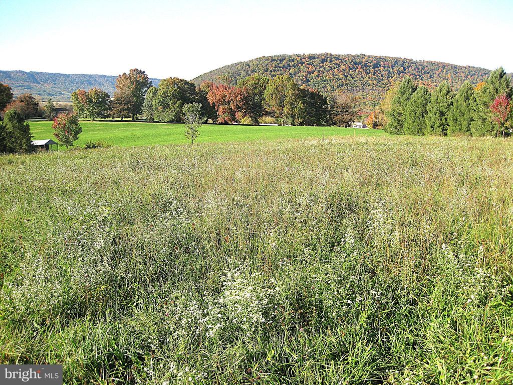 Photo of 0 Hill Road, SPRING RUN, PA 17262 (MLS # PAFL2032344)