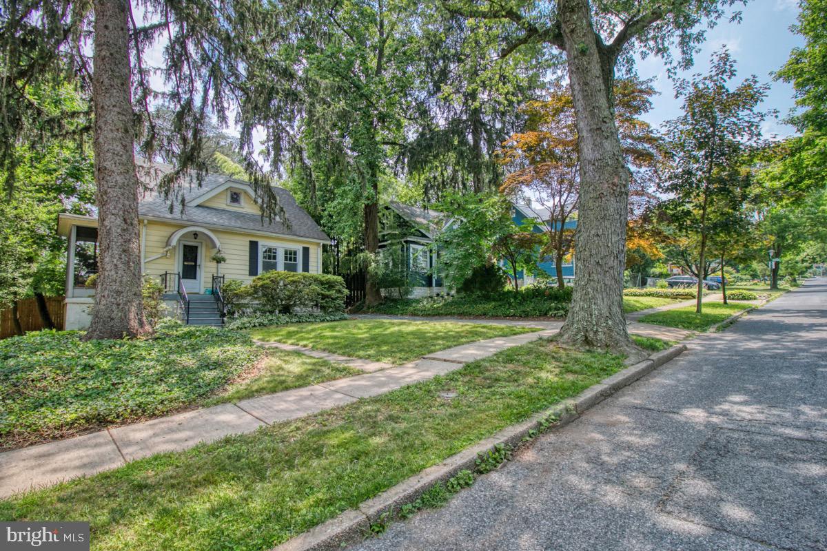 LAKE WALKER - Residential