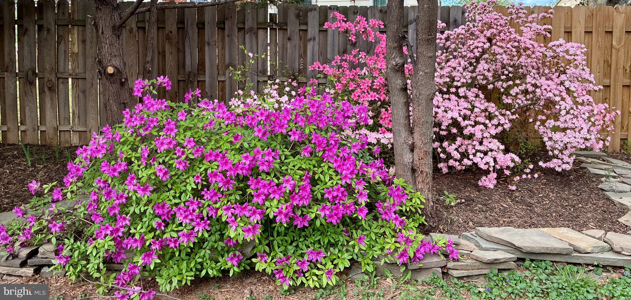 GREENWAY DOWNS - Residential