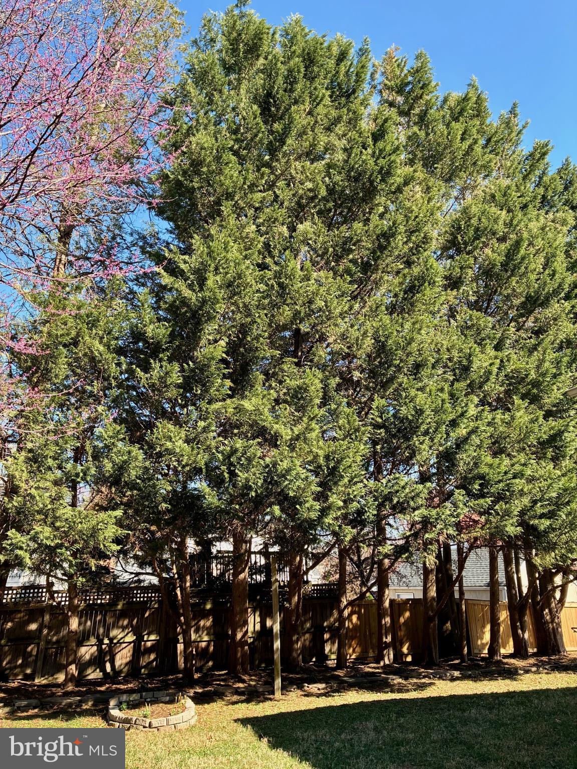 2753 WOODLAWN AVENUE